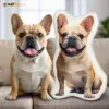Custom Pet Shaped Pillow