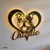 RGB LED Metal Sign 2