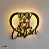 RGB LED Metal Sign 2