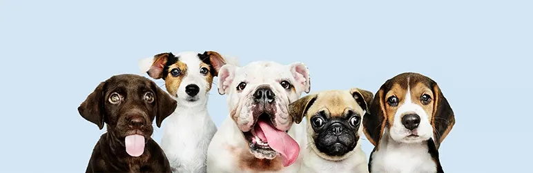 The Dog Lover